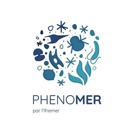 Logo Phenomer