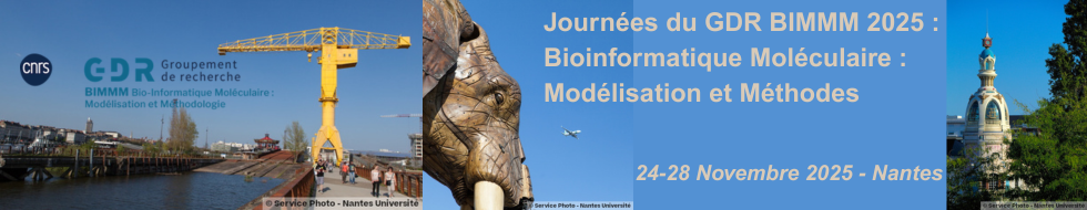 journées du GDR BIMMM