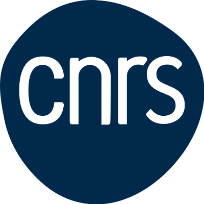 logo cnrs rgb 2024