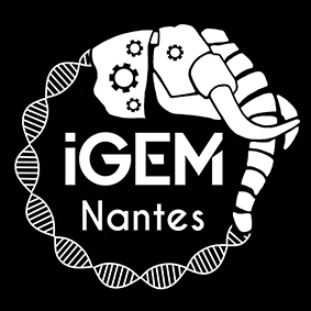 igem logo
