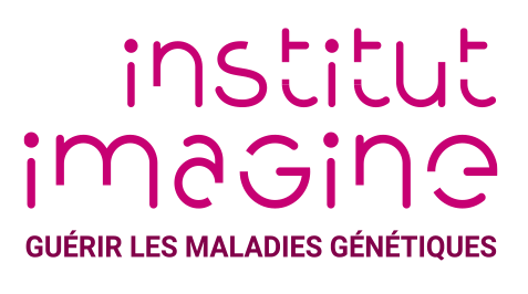 logo institut imagine