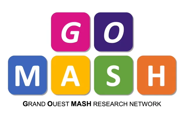 Logo FHU GO MASH
