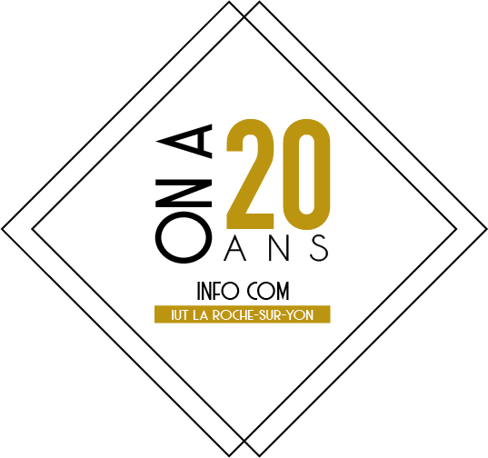 Logo 20 ans