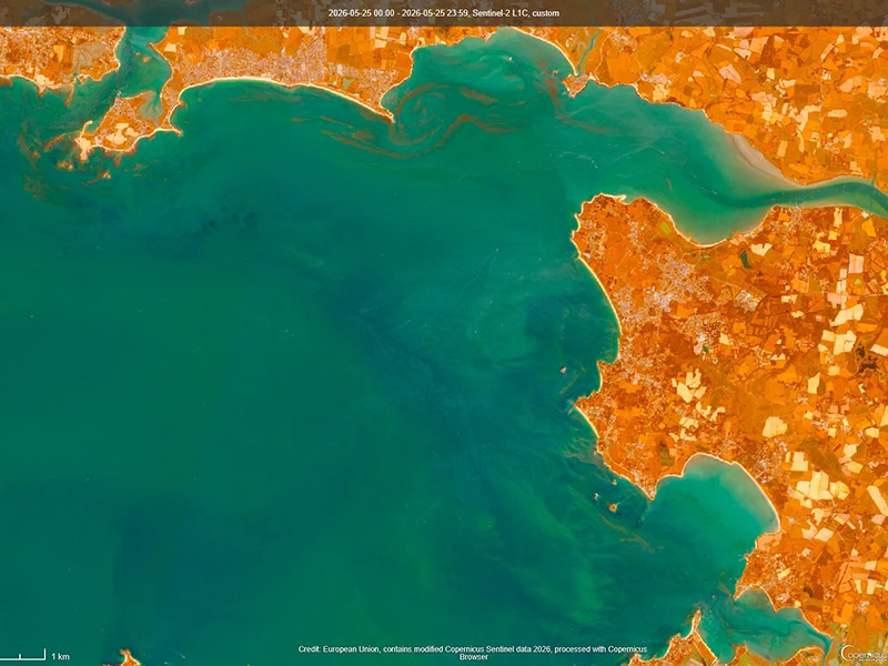 Bloom observé en Baie de Vilaine le 25 mai 2026 par le satellite européen Sentinel-2 du programme Copernicus