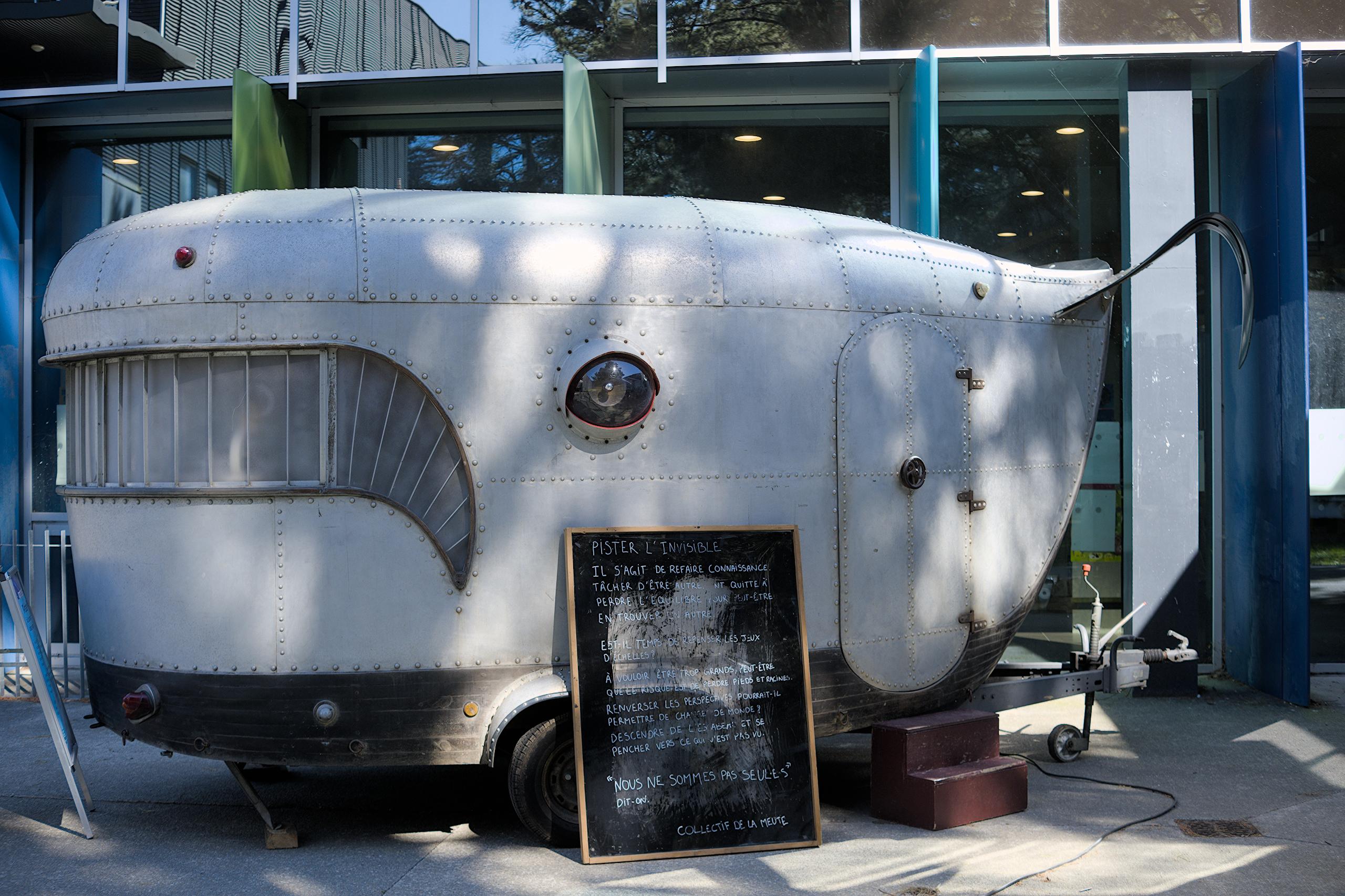 Caravane Baleine